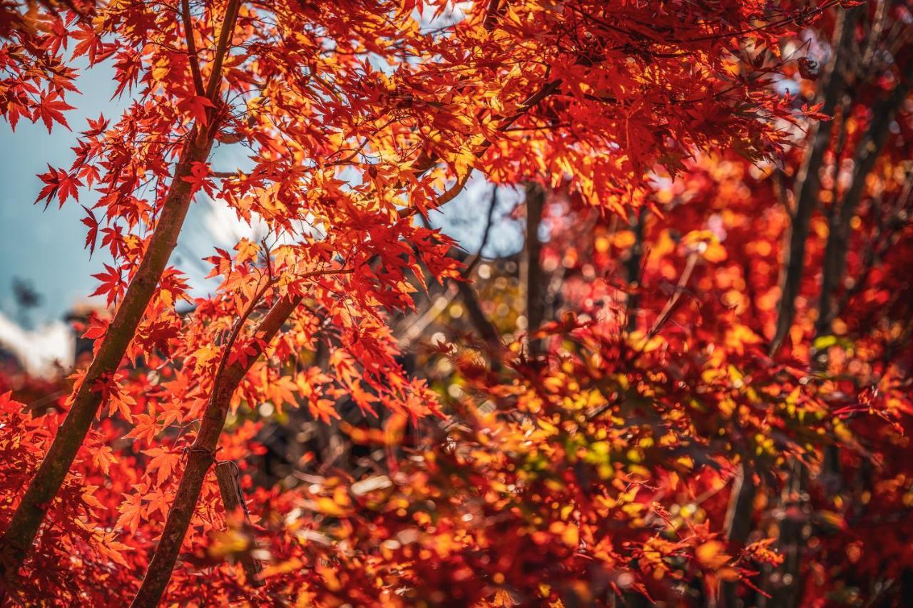 Yamakikan Naganohara Exteriér fotografie